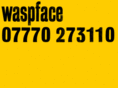 waspface.com