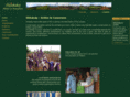 activeincameroon.org