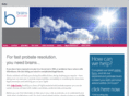 brains-probate.com