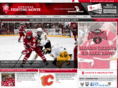 dubuquefightingsaints.com