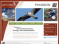 pandionsystems.com