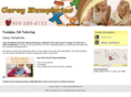 tutorwithmetoday.com