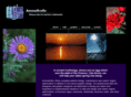 ammagrafix.com