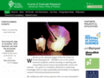 eventsandfestivalsresearch.com