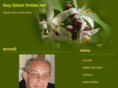 guyginononline.net