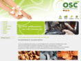 orthopaedicshoecenter.com