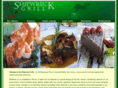 shipwreckgrill.com