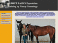 aboutbasicsriding.com