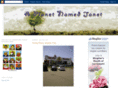 aplanetnamedjanet.com
