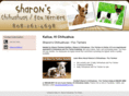 chihuahuafoxterrierbreeder.com