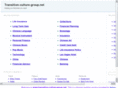 transition-culture-group.net