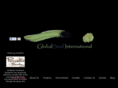 globalsoulinternational.org