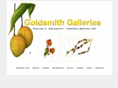 goldsmithgalleries.com
