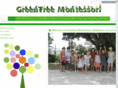 greentreemontessori.com