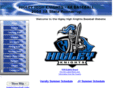 higleyhighbaseball.org