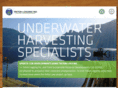 sawfishtimbercompany.com