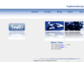 toy-ds.com