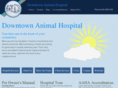 downtownanimalhospital.com