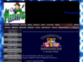 palmerhockey.org
