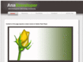 anadeveloper.com