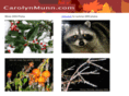 carolynmunn.com