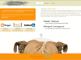 clevermongrel.com