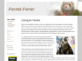 ferretfever.com