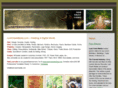 lostcreekmedia.com