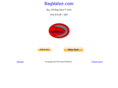 bagvalve.com
