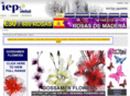 iepromotions.co.uk