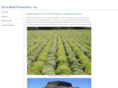 orcaseed.com