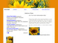sunflowerplants.net