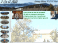 2onahill.com