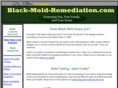 black-mold-remediation.com