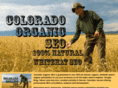 colorado-organic-seo.com