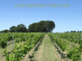 dorchestervineyard.com
