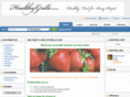 healthygrille.com