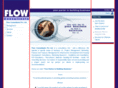 flowconsultantsindia.com