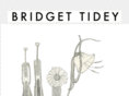 bridgettidey.com