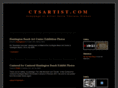 ctsartist.com