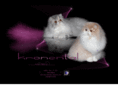 kronental.com