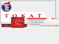 tokatelektrik.com