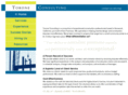toroneconsulting.com