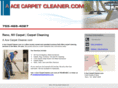 aacecarpetcleaner.com