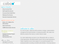 cabainc.com