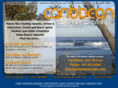 caribbeansurfpr.com
