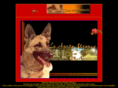 chiotbergerallemand.com