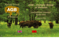 ev5agb.com