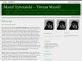 mastif-tybetanski.com