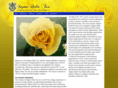 sdtiu.com